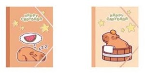 Obrazek Teczka A5 4 gumką MIX