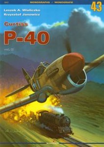 Obrazek Curtiss P-40 Tom 3