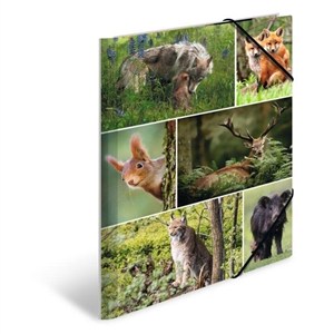 Obrazek Teczka A4 gumki narożne - Leśne zwierzęta