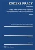 Kodeks pra... - Kazimierz Jaśkowski, Eliza Maniewska -  books in polish 