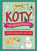 Książka : Koty do ko... - Joanna Babula (ilustr.), Krzysztof Wiśniewski
