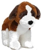 Pies berna... -  Książka z wysyłką do UK