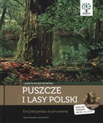 Puszcze i ... - Ewa Kwiecień, Dorota Zawadzka -  foreign books in polish 