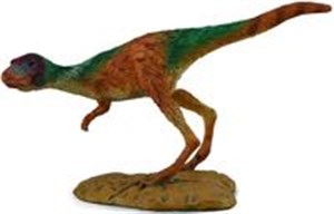 Picture of Dinozaur Juvenile M