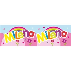 Picture of Bidon 300ml Milena