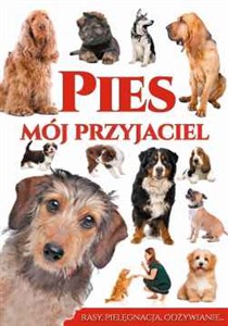 Picture of Pies mój przyjaciel