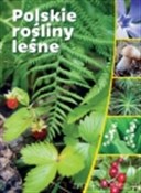 Polskie ro... - Opracowanie Zbiorowe -  foreign books in polish 