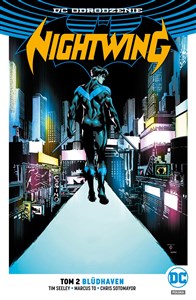 Picture of Nightwing Tom 2 Bludhaven