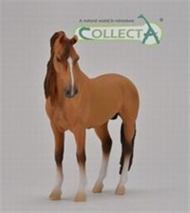 Picture of Koń Campolina Stallion Red Dun