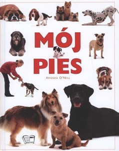 Picture of Mój pies