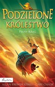 Podzielone... - Allan Frewin Jones, Gary Chalk -  foreign books in polish 