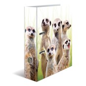 Segregator... -  books from Poland