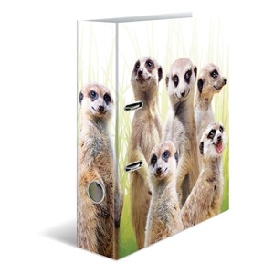 Picture of Segregator A4 - Surykatki