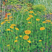 Zobacz : Karnet z k...