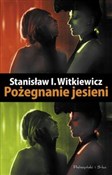 Pożegnanie... - Stanisław Ignacy Witkiewicz -  foreign books in polish 
