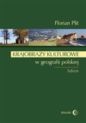 Krajobrazy... - Florian Plit -  foreign books in polish 