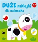 Duże nakle... - Opracowanie Zbiorowe - Ksiegarnia w UK