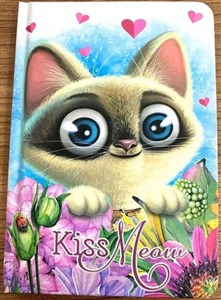 Obrazek Notatnik ozdobny A6/64K gładki TW Kotek FRESH