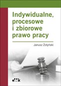 Indywidual... - Janusz Żołyński -  Książka z wysyłką do UK