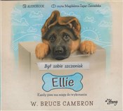 [Audiobook... - BRUCE W CAMERON -  foreign books in polish 