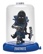 polish book : Fortnite F...