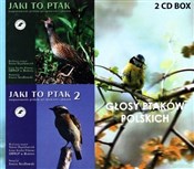 Głosy Ptak... - Opracowanie Zbiorowe -  books in polish 