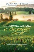 Polska książka : Cudowna wi... - Joanna Tekieli