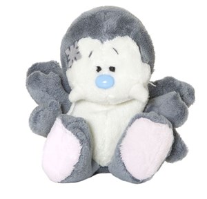 Picture of Niebieski nosek - pająk Webster