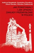 Książka : Jak powsta... - Andrzej Karpiński, Stanisław Paradysz, Paweł Soroka, Wiesław Żółtkowski