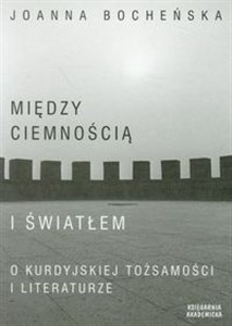 Picture of Między ciemnością a światłem O kurdyjskiej tożsamości i literaturze