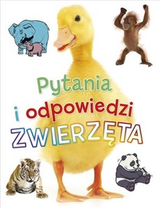 Picture of Pytania i odpowiedzi. Zwierzęta