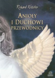 Picture of Anioły i duchowi przewodnicy Jak nawiązać kontakt z niewidzialnymi pomocnikami?