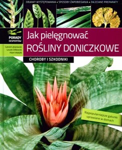 Picture of Jak pielęgnować rośliny doniczkowe Choroby i szkodniki