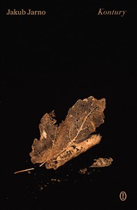 Picture of Kontury