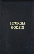 Liturgia G... - Opracowanie Zbiorowe -  Polish Bookstore 