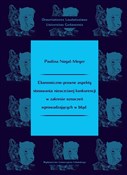 Ekonomiczn... - Paulina Nogal-Meger -  books in polish 