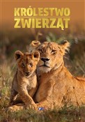 Królestwo ... - Opracowanie Zbiorowe -  books from Poland