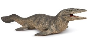 Picture of Tylosaurus