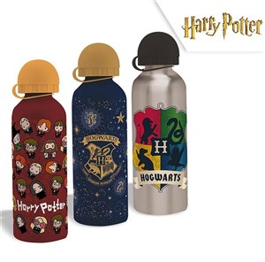 Obrazek Bidon Harry Potter