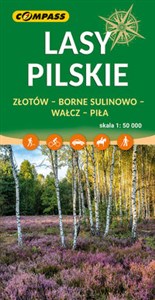 Picture of Lasy Pilskie 1:50 000