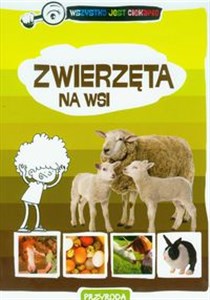 Picture of Zwierzęta na wsi Wszystko jest ciekawe