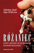 polish book : Różaniec - Zdzisław Józef Kijas