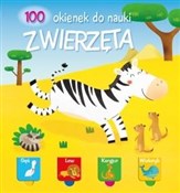 100 okiene... - Opracowanie Zbiorowe -  Polish Bookstore 