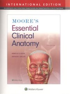 Obrazek Moore's Essential Clinical Anatomy Sixth edition, International Edition
