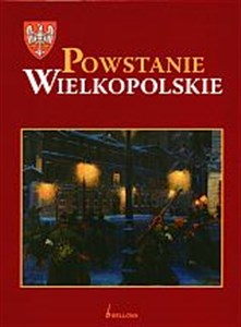 Obrazek Powstanie wielkopolskie