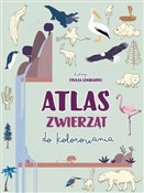Atlas zwie... - Giulia Lombardo (ilustr.) -  Polish Bookstore 