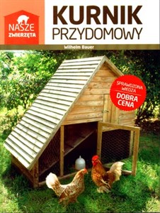 Obrazek Kurnik przydomowy