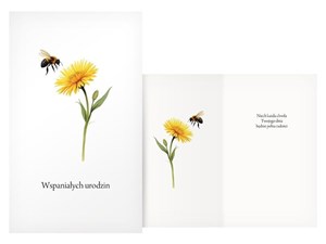 Obrazek Karnet Urodziny