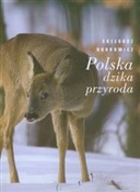 Polska dzi... - Grzegorz Bobrowicz -  books from Poland