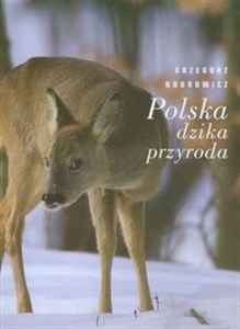 Picture of Polska dzika przyroda